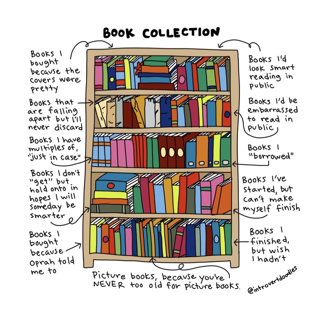 Book Collection - best cartoons about books