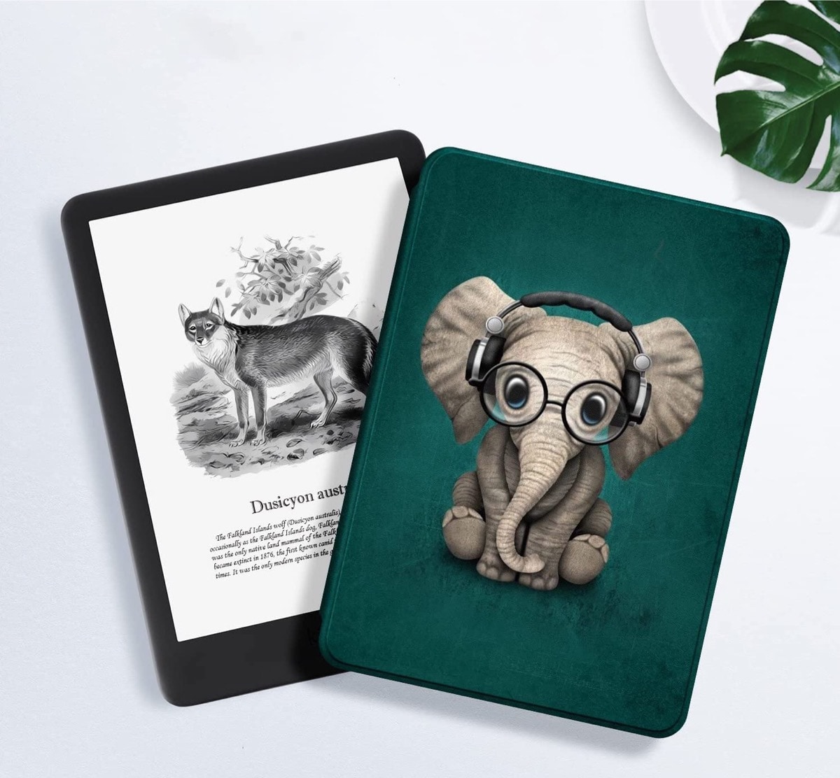 Cute Kindle Paperwhite 11th-generation 6.8-inch case