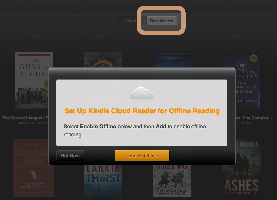 Kindle Cloud Reader - enable offline mode