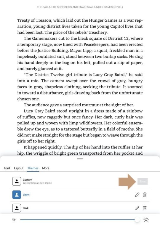Kindle for iPadOS save custom theme