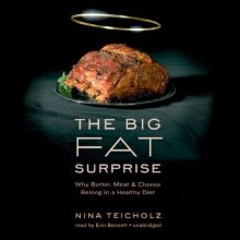 The Big Fat Surprise by Nina Teicholz - best audiobooks Audible Plus Catalog